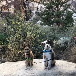 Meet your Posher, Elysia